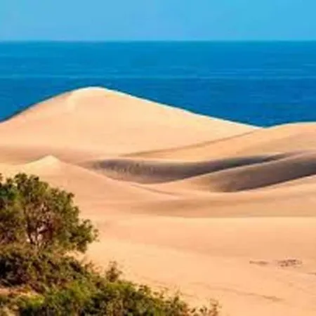 Domek alpejski Modern In Maspalomas San Bartolomé